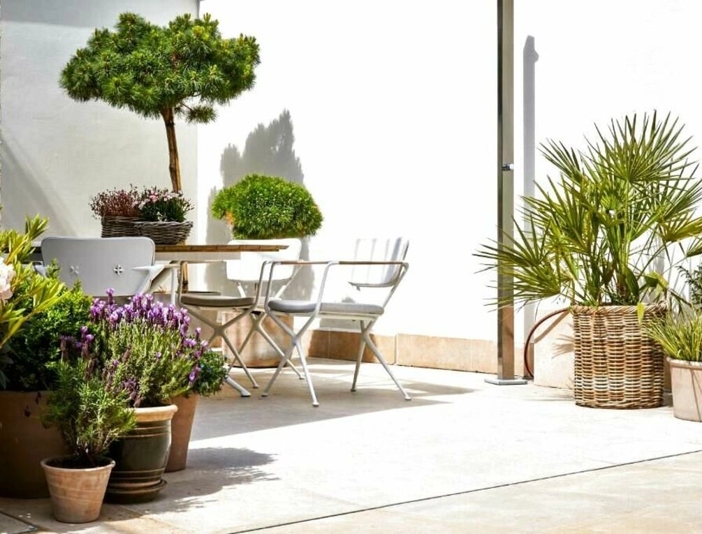 Afbeelding gerelateerd aan ABC Hotel