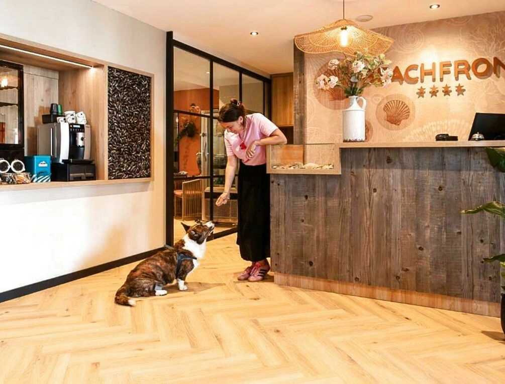 Afbeelding gerelateerd aan Beachfront Boutiquehotel