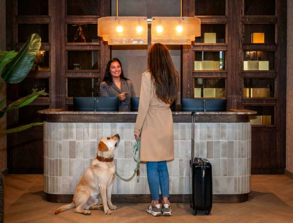 Afbeelding gerelateerd aan Hotel De Zeevaartschool