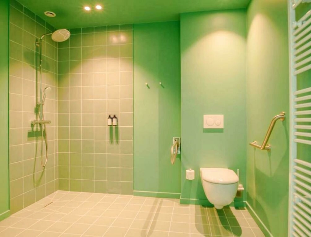 Afbeelding gerelateerd aan ZAELIG Hotel