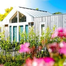 Camping Hotel Renesse